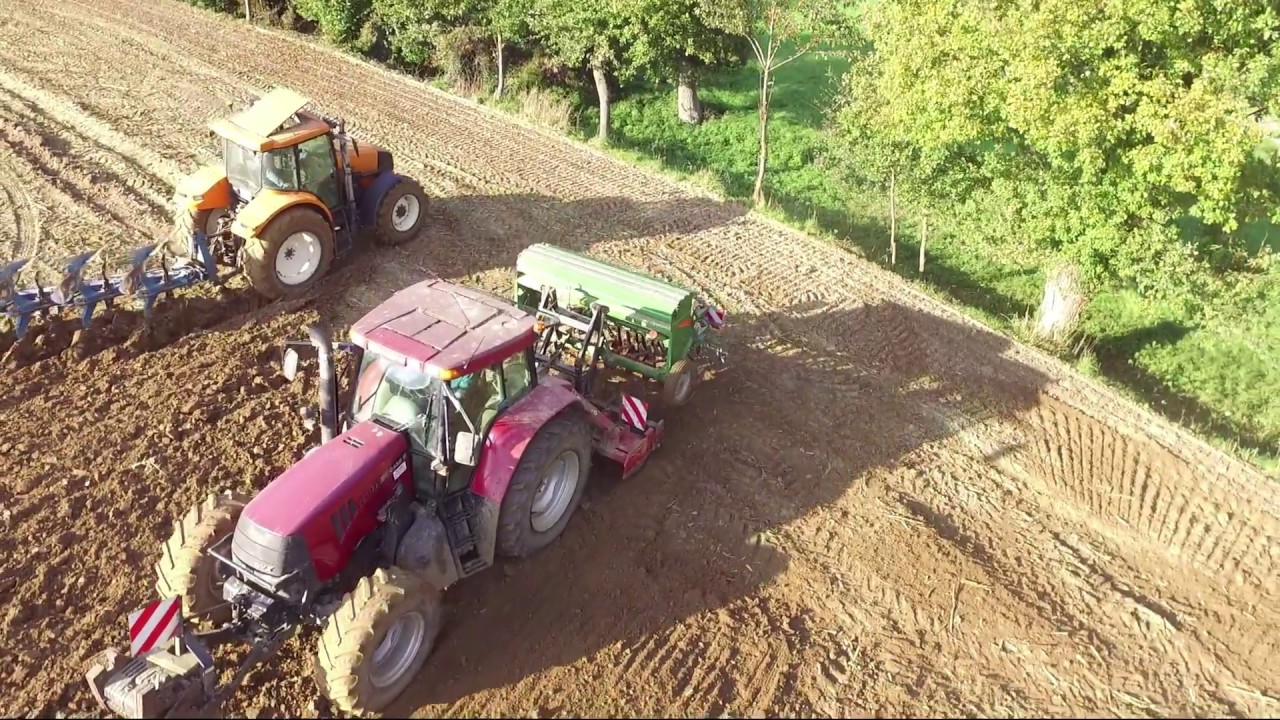 Semis de blé | Ares630RZ | Case CVX1145