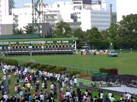 サクラメガワンダー宝塚へ向け完勝【第45回金鯱賞（ＧⅡ）】
