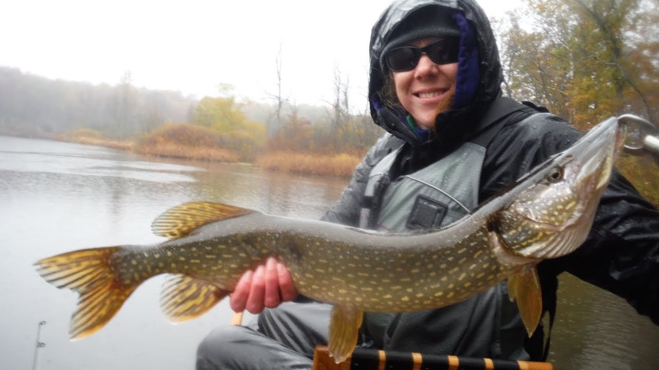 Indiana Kayak Fishing November Rain Pike 11/4/17 YouTube