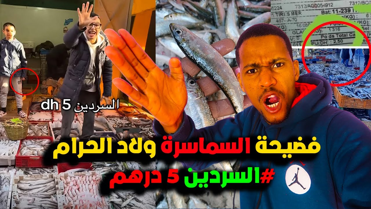 اقوى رد على فضيحة سماسرة السمك عبدالاله مراكش فضحهم كايشرو السردين بـ 3 درهم او كايبيعوه بـ 25 درهم