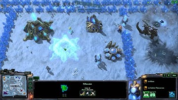 Starcraft 2 Arcade Cat & Mouse LAN Stream