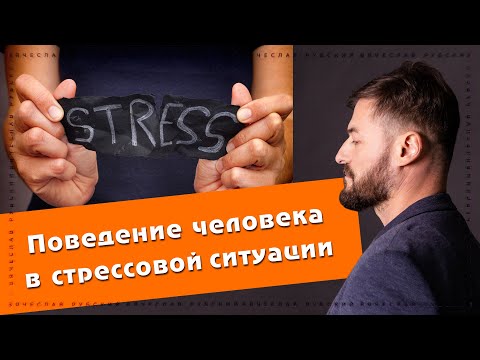 Поведение человека в стрессовой ситуации | Вячеслав Рубский
