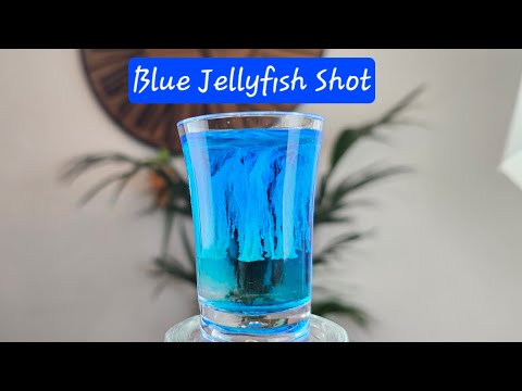 Blue Jellyfish shot