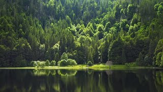 What’s behind an Environmental Product Declaration?