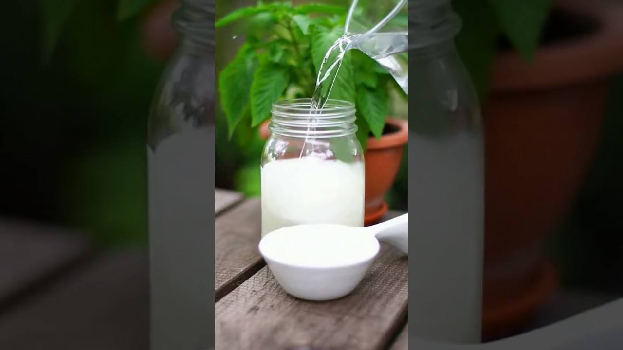 Leche + bicarbonato → plantas fuertes seguras