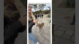 She did it but didn’t give me any food