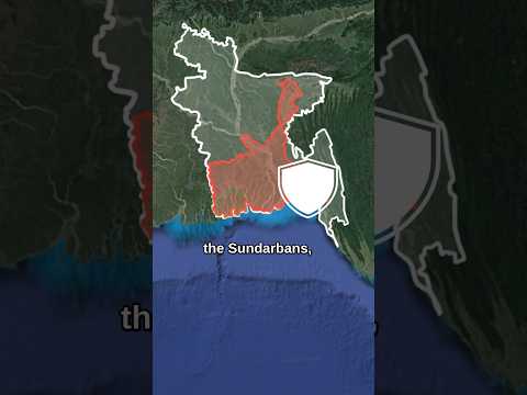 What Is The Local Zonal Area Of Sea Of Bangladesh