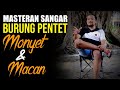 full tembakan masteran yang sangar untuk MURAI BATU