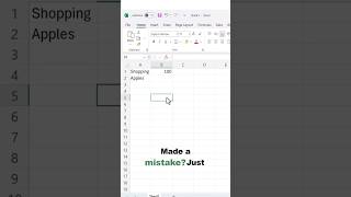 ↩️ Made a mistake in Excel?