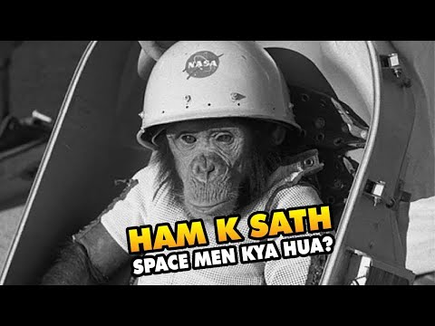 What Happened to Ham in Space? | Sad Story of Space Monkey Ham