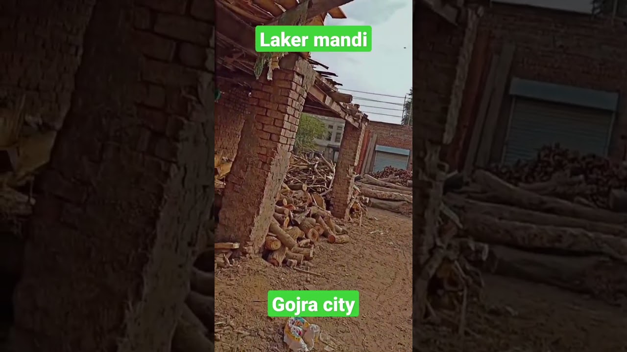 Laker mandi