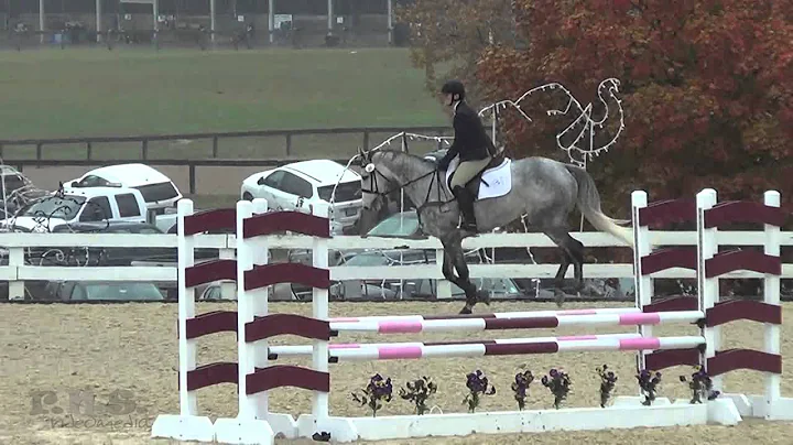 Emily Daignault-Salvag...  Jumpers Retired Racehorse Project Thoroughbred Makeover 2015