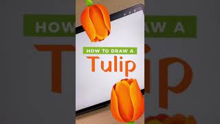 How to Draw a Tulip (#Shorts)