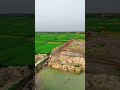 মাশাল্লাহ বাবরি মসজিদের ডিজাইন তৈরি হচ্ছে #viral #trending #video #babrimasjid #newupdate #shorts