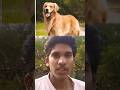 Intelligent Dog hindi story | #shorts #shortsfeed #viral