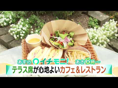 【HTB公式】イチモニ！７月１４日（火）予告