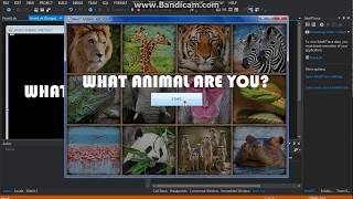 Celebrity Visual Basic .NET - What animal are you? Tutorial Part 1 Profile