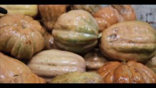 Elaboración de Jabón de Calabaza | Productos PACSA