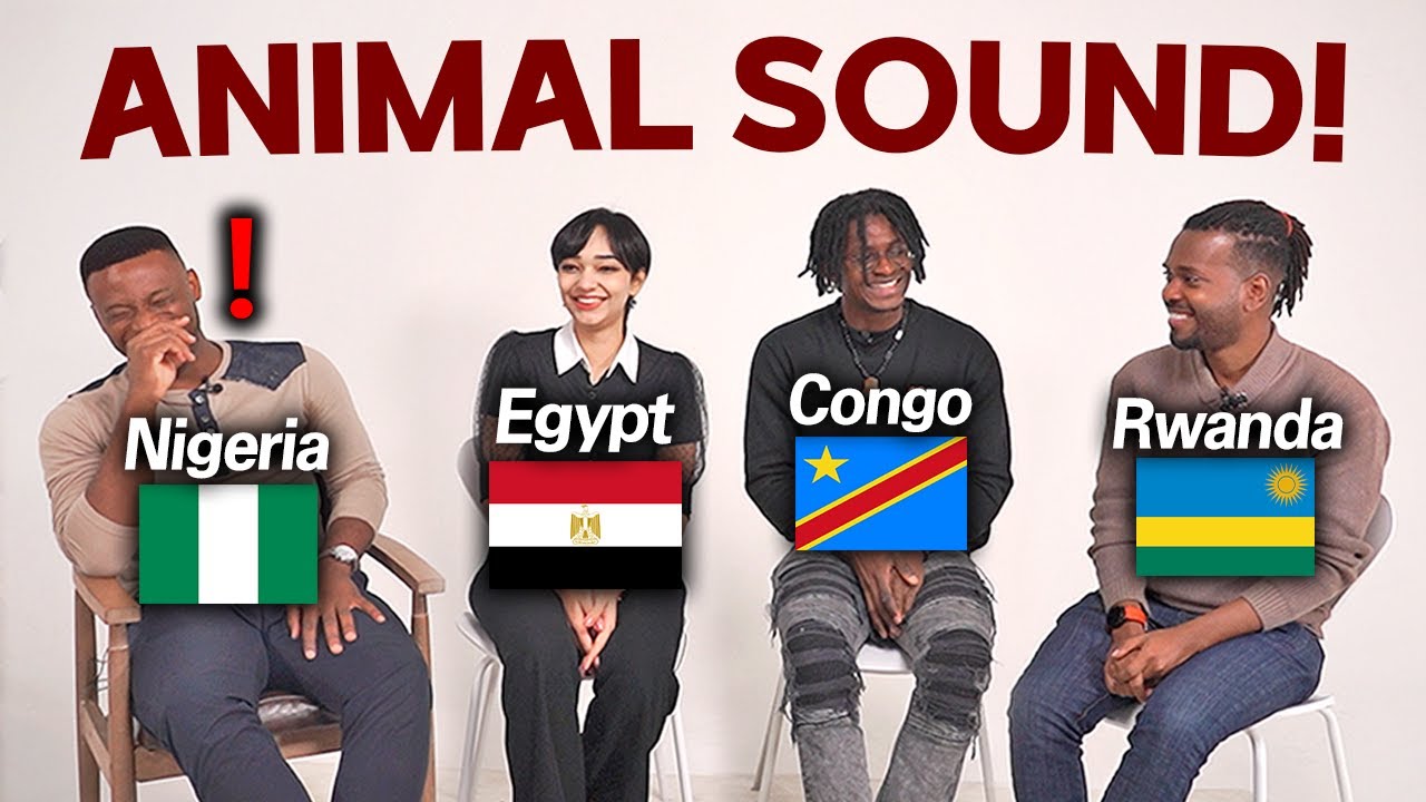 African Countries Animal Sound Pronunciation Difference!! (Nigeria, Egypt, Congo, Rwanda)