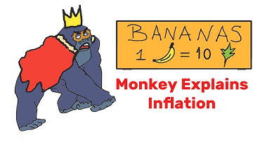 Inflation Explained in 3Minutes… by Gorillas!