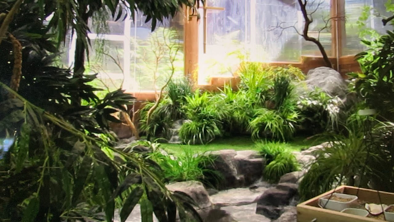 Just peaceful birds, late summer in the aviary