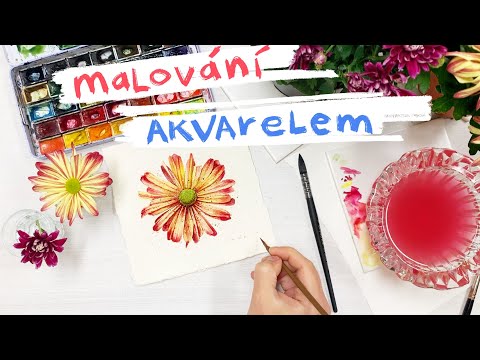 Video: Jak Malovat Solí A Akvarelem