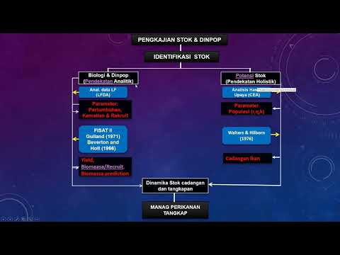 Video: Mengapa dinamika populasi penting?