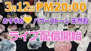 【ライブ】おすすめ