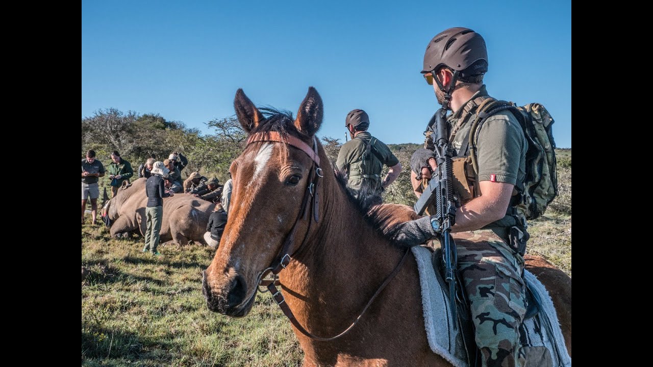 GCF Mounted Anti Poaching Efforts and Units with Roxane Losey