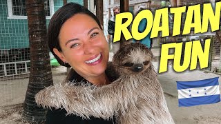 Stranded in Roatan with Sloths and Monkeys by Crazy Empty Nest 1,583 views 2 years ago 5 minutes, 48 seconds