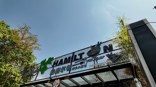 Hamilton Food Market  ( Hamilton Walk).