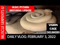 WILL MY OLIVE PYTHONS BREED THIS YEAR?  2-3-22