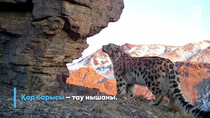 Демалыста ересек әйелмен жыныстық қатынас (фото)