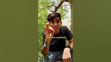 هل تتألم النباتات النيرد العربي 