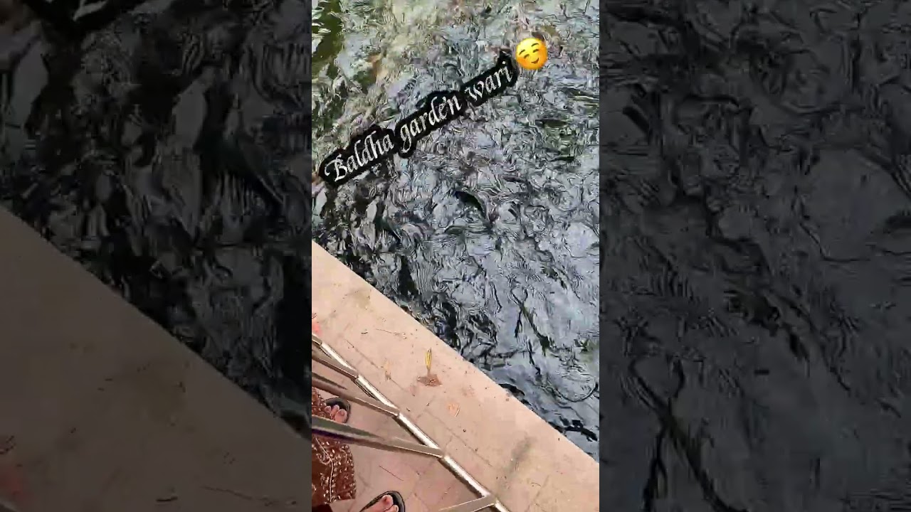 Mini vlog # baldha garden # CapCut edits # HD # Zehad Alif
