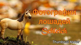 Фотографии лошадей Schleich , подборка ( загляни в описание ) Фотографии лошадей Schleich , подборка ( загляни в описание )