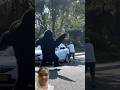 Gorilas 🦍 Atravesados 🤣#funny #shortvideo