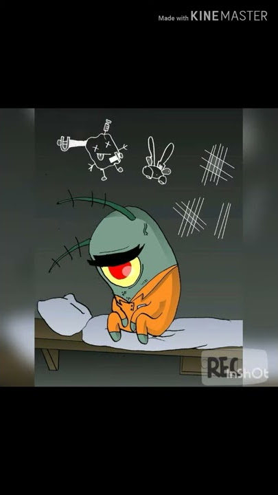 Story wa plankton
