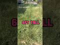 We Tried Cutting 6ft Tall Weeds! #asmr #trashtotreasure #satisfying