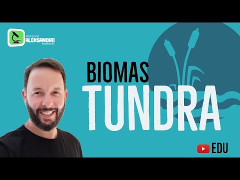 BIOMAS - TUNDRA. Prof.Aleks  - #enem