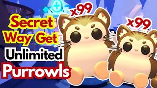 Get Unlimited Purrowls Easily In Adopt Me Secret Way Nobody Will Tell You