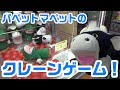 パペットマペットがクレーンゲームに挑戦!(うしくんvsうしくん)