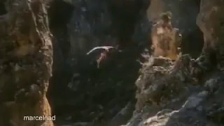 An Eagle Flies Away With Full Grown Deer in it's Talons