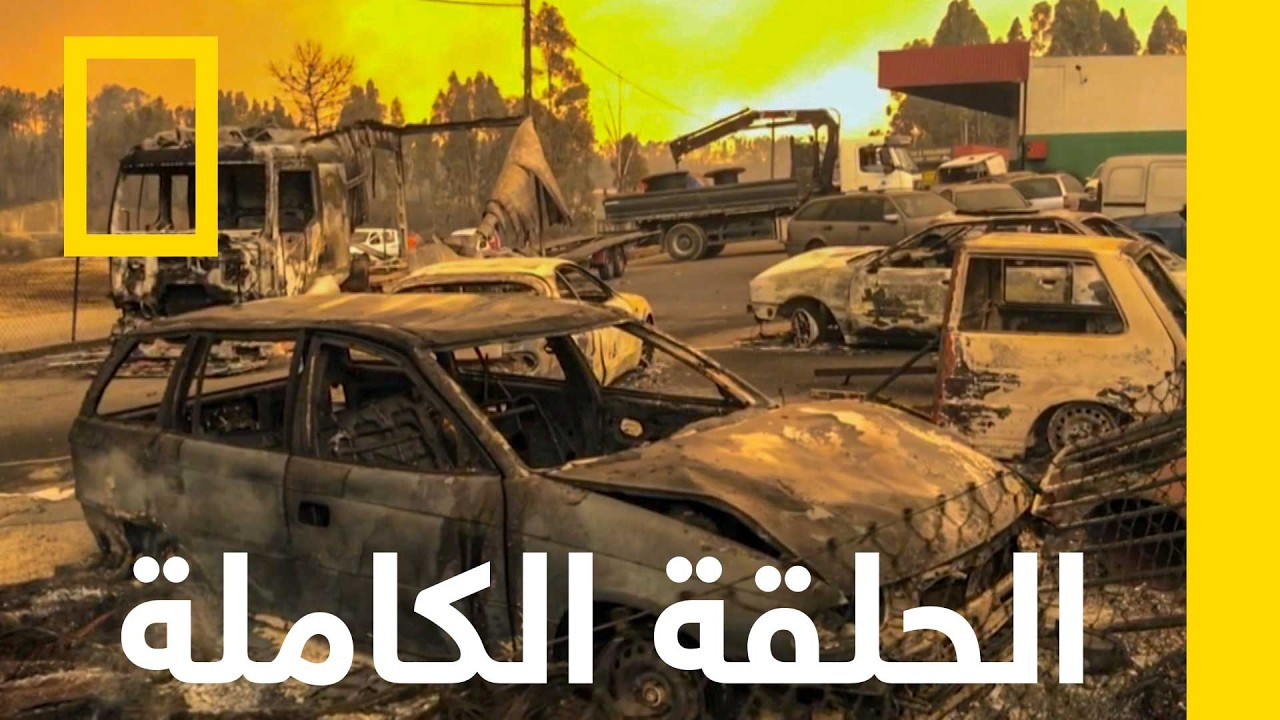 ���� �������� | ������ ��� ������� | ������� ��������� ������
 - نشر قبل 16 دقيقة