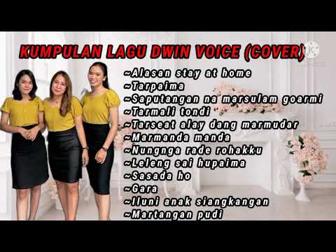 lagu batak terbaik versi dwin voice (cover)
