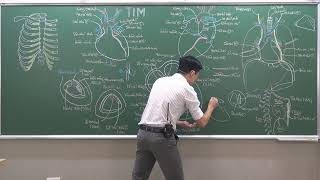 CHEST: HEART - (3) STRUCTURE screenshot 1