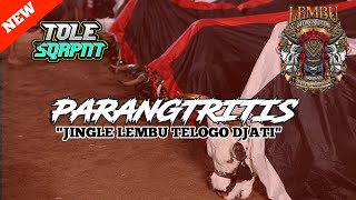 DJ BANTENGAN ‼️ 'LEMBU TELOGO DJATI' (PARANGTRITIS), REMIXER BY TOLE SQRPNT ‼️