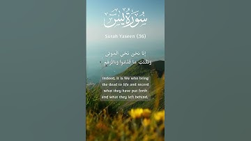 سورۃ یس  ਸੂਰਾ ਯਾਸੀਨ સુરા યાસીન  سورة يس #quran ❤️