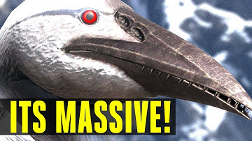 🚩THIS DINO MAY CAUSE ALL SERVERS BE WIPED ON RELEASE! Ichthyornis first look! 256 DINO SPOTLIGHT