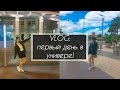 VLOG: первый день в американском университете JWU North Miami - AltynaySei